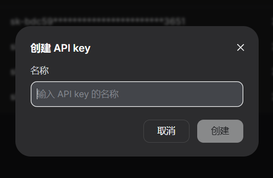 输入 API key 名称